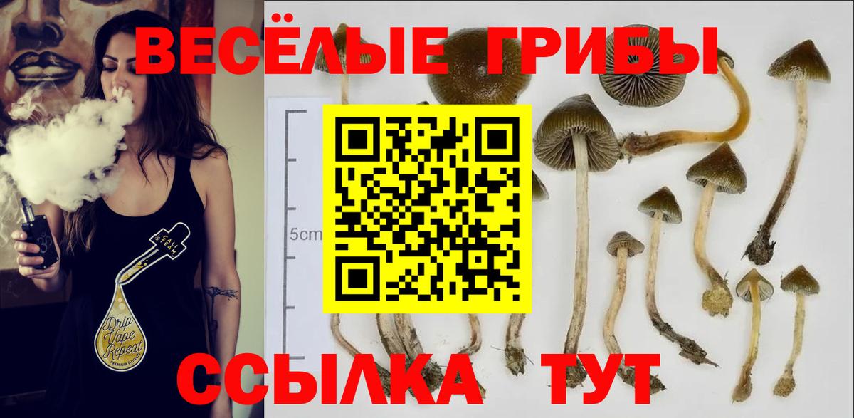 Галлюциногенные грибы ЛСД Орск